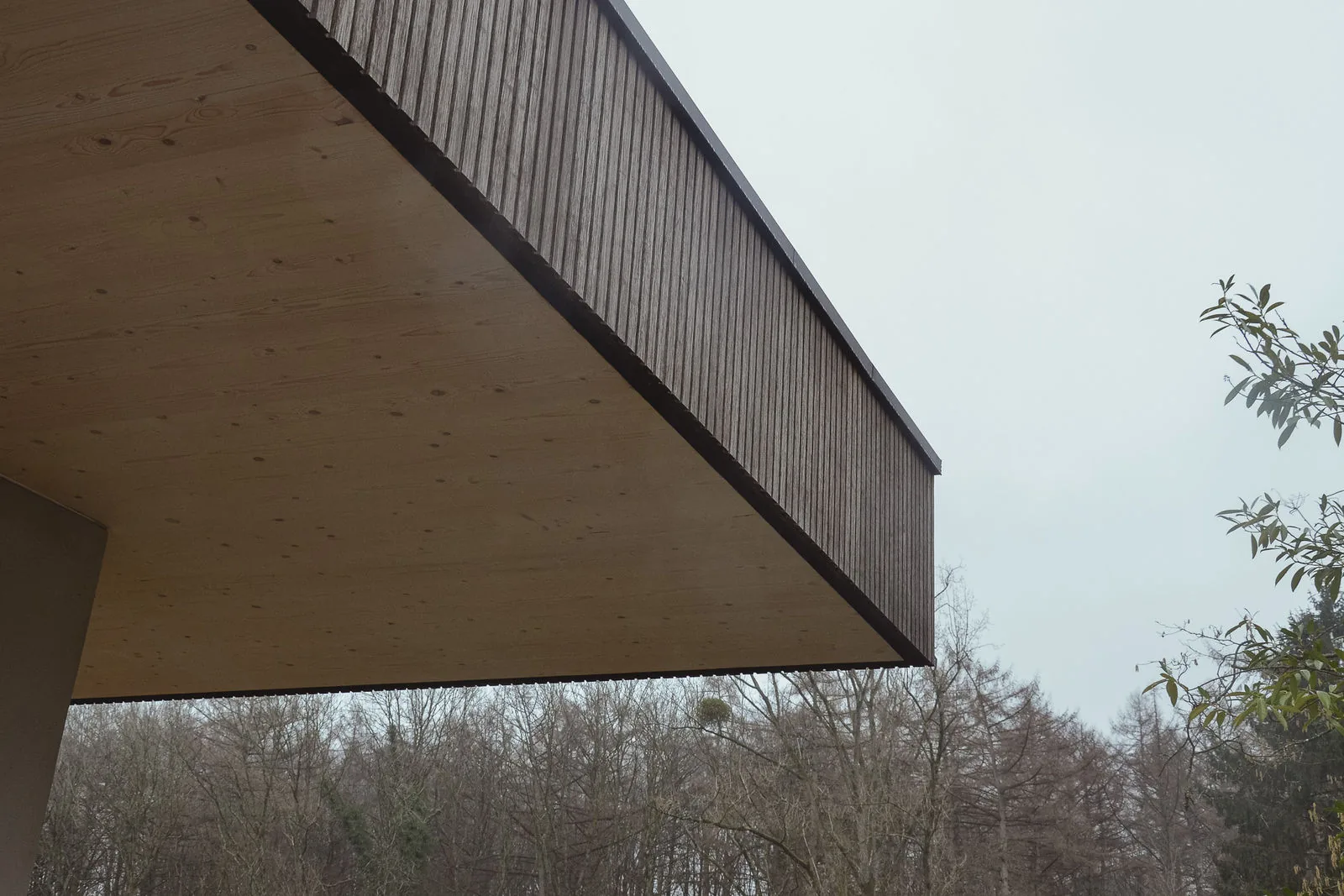 Le débord de toiture vu du dessous : sous-face en CLT apparent et bardage bambou vertical en rive