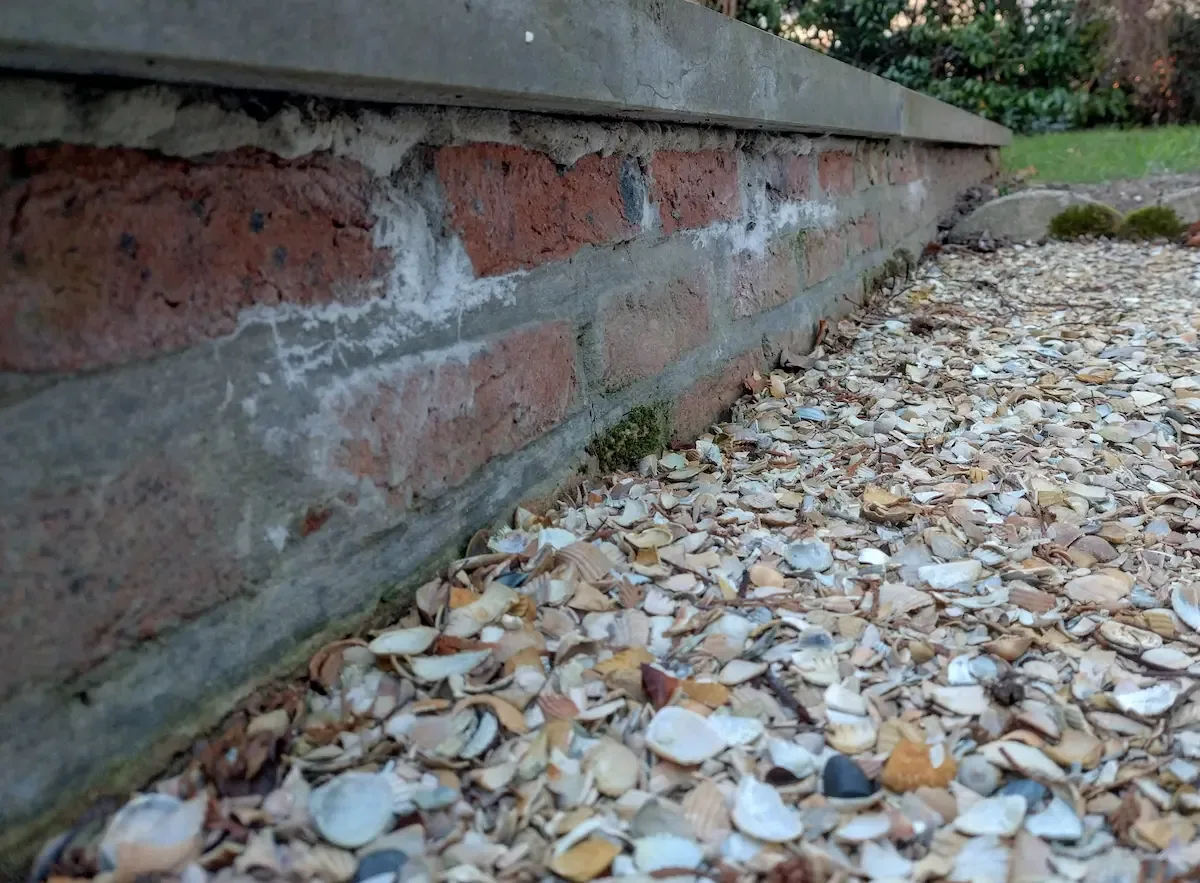 Drainage périphérique : coquillages en place au pied d'un mur de briques — texture, calibre et couleur réels