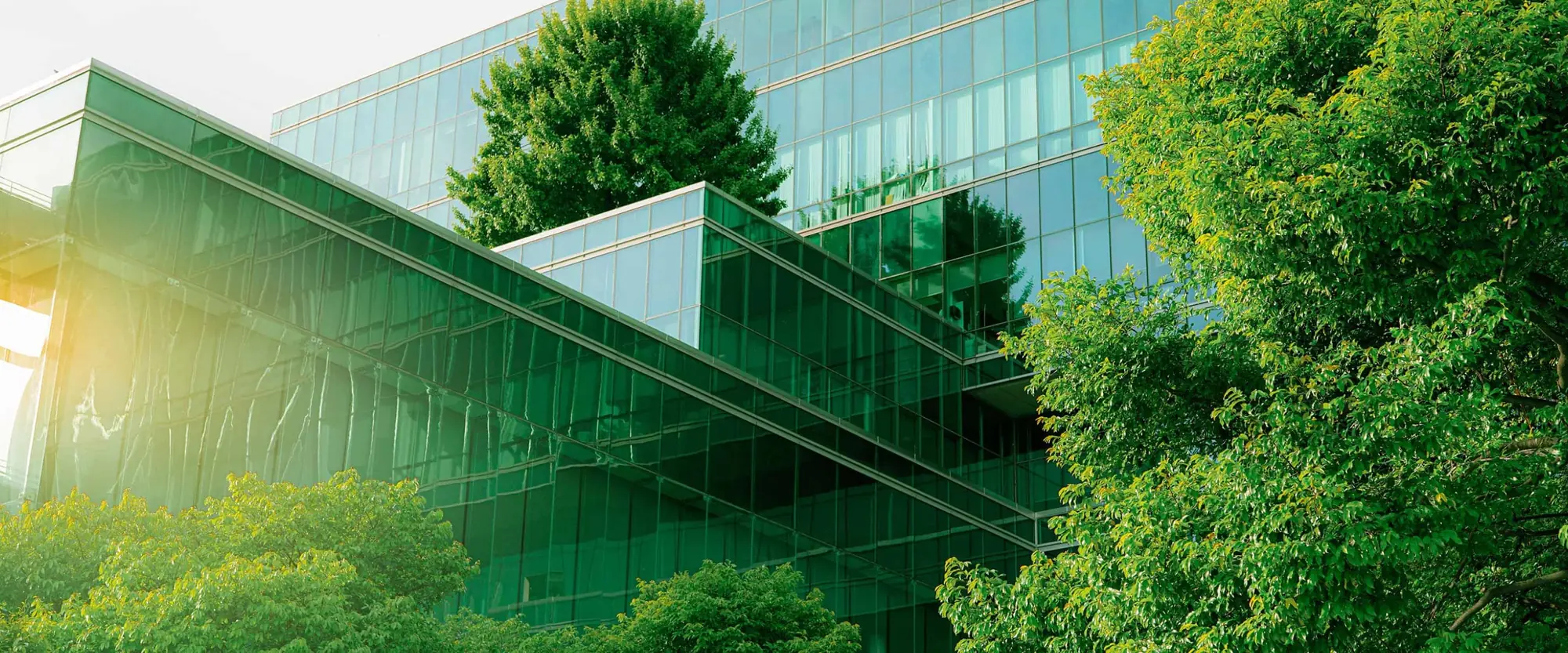 Image d'en-tête de l'article AGC « The impact of low-carbon, high-performance glass » — façade entièrement vitrée en situation, végétation