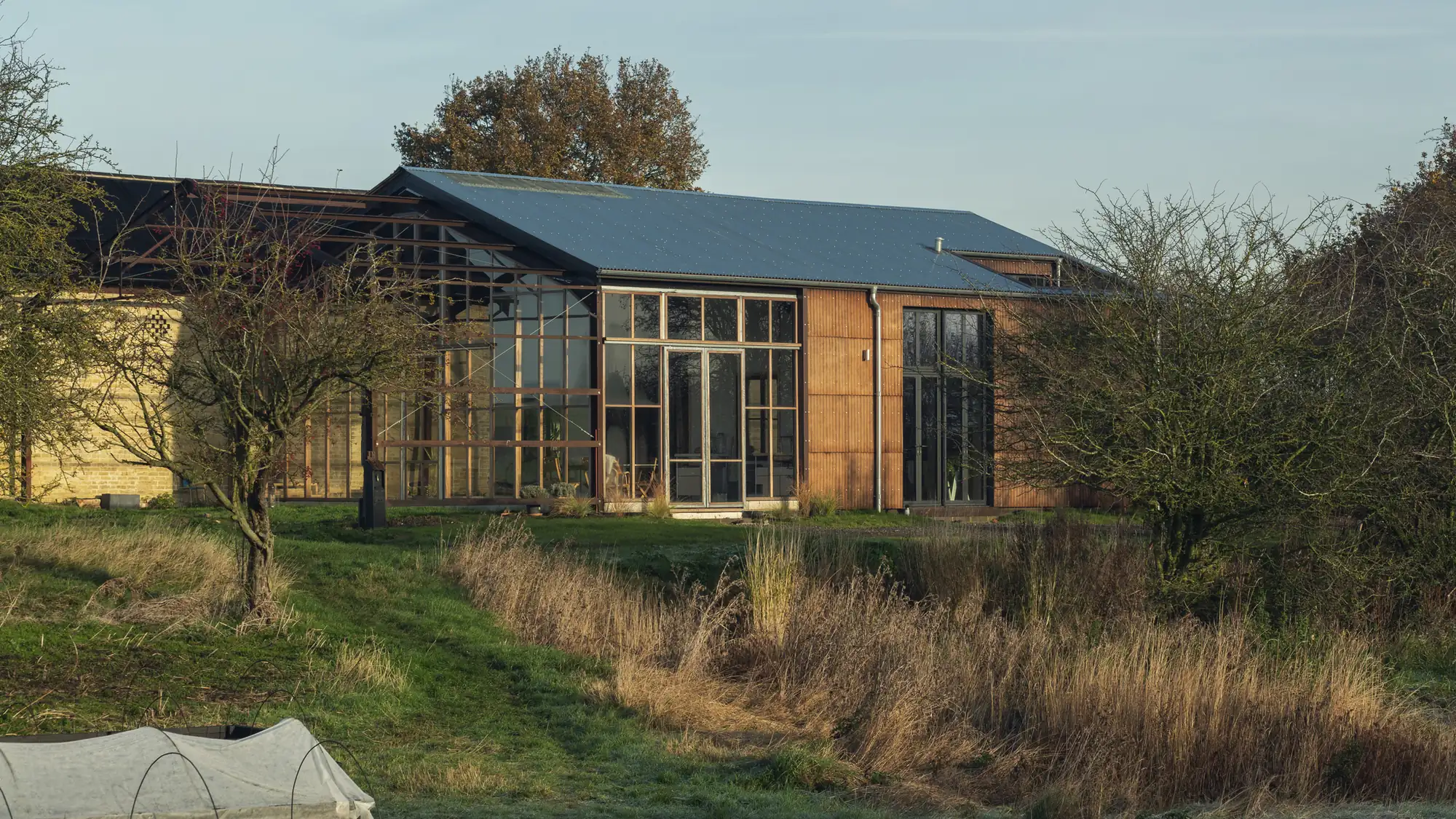 Flat House, Material Cultures · timber facade and glazed bay among tall grasses